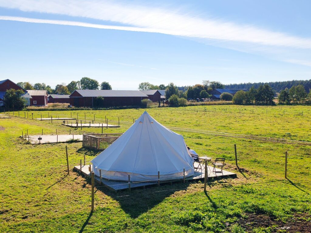 Laitumen reunaan sijoitettu glamping-teltta.